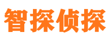 礼泉市私家侦探